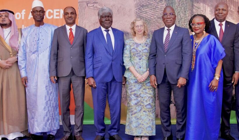 CMAE : 40 ans d’action environnementale, bilan et perspectives pour l'Afrique