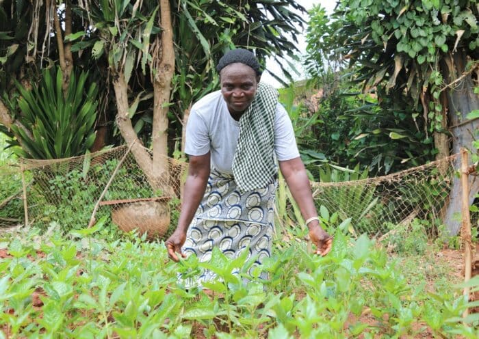 Sécurité alimentaire durable au Bénin : ‘’les jardins de case’’, une solution locale selon le projet CASCADE