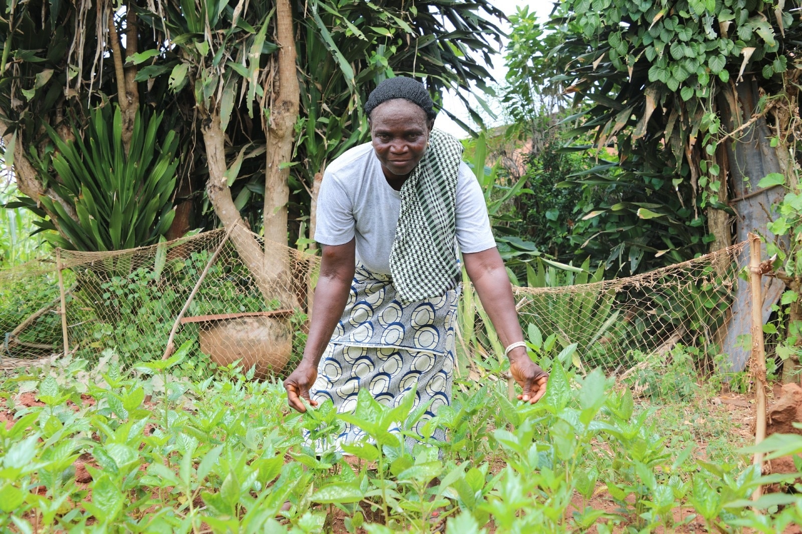 Sécurité alimentaire durable au Bénin : ‘’les jardins de case’’, une solution locale selon le projet CASCADE