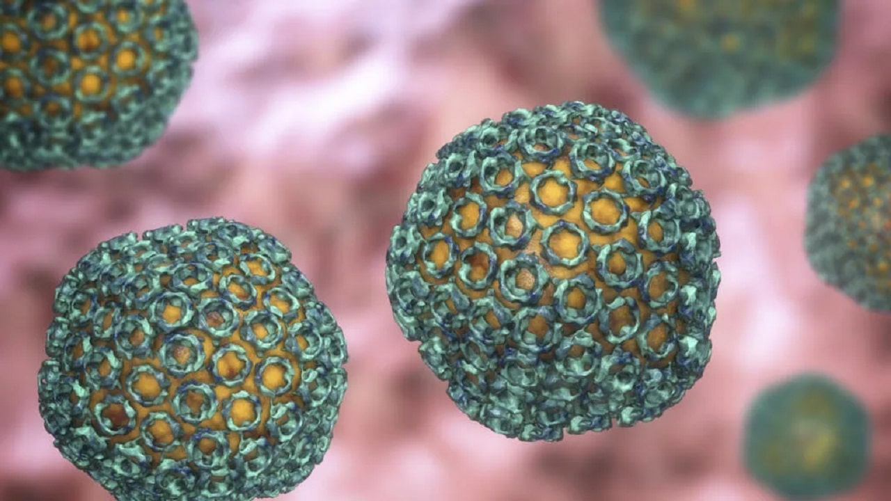 Fièvre de la Vallée du Rift au Sénégal : des morts à Saint-Louis, grande panique dans le nord